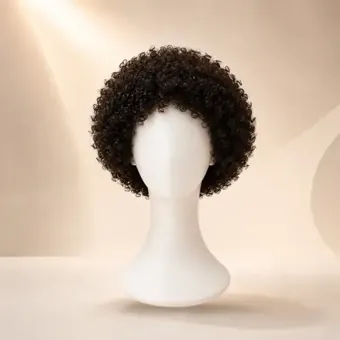 Afro Curly hairstyle image